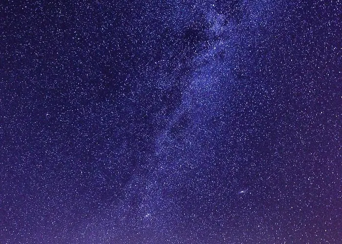 171 招待所 贝内茨科